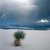 Regenbogen-White-Sands-NP-New-Mexico-USA-1998.jpg