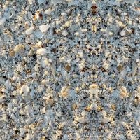 Muschelreste, 80 Mile Beach, Westaustralien.jpg