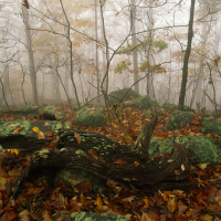 Harkening-Hill-Blue-Ridge-Pkwy-Virginia-USA-2013.jpg